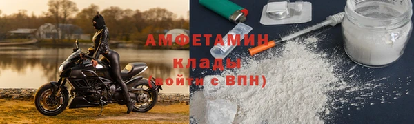 гидра Инта