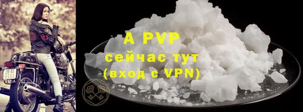 гидра Инта
