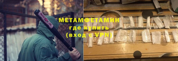 гидра Инта