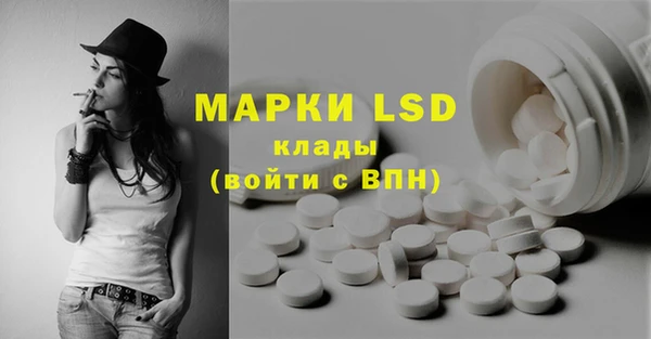 гидра Инта
