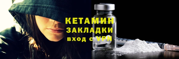гидра Инта