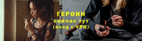 гидра Инта