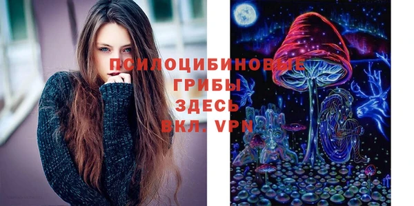 гидра Инта