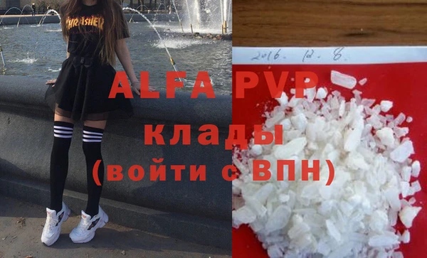 гидра Инта