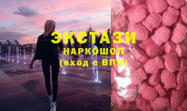 гидра Инта