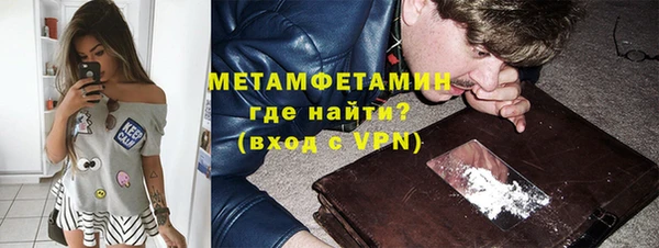гидра Инта