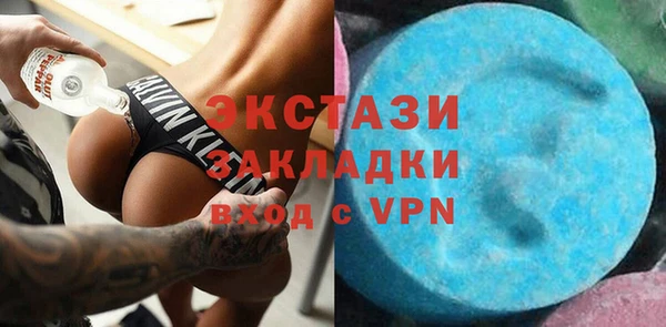 гидра Инта