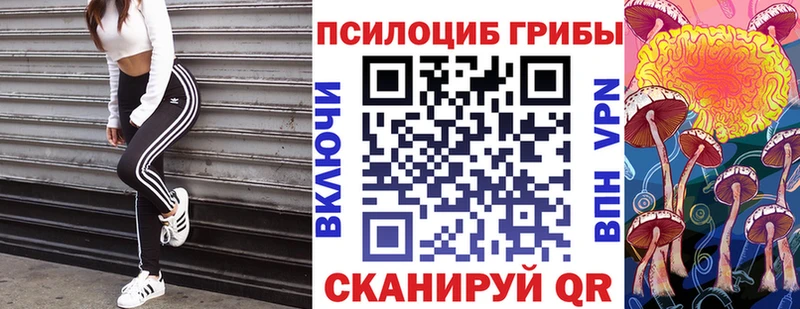Галлюциногенные грибы GOLDEN TEACHER  Купить  Нефтеюганск 